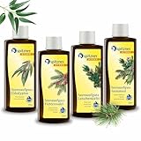 Spitzner Saunaaufguss-Set Freier Atem (4 x 190 ml) – Gesundheitsaufgüsse mit aromatischem Saunaduft zur Befreiung der Atemwege mit Eukalyptus, Fichtennadel, Latschenkiefer und Saunamed